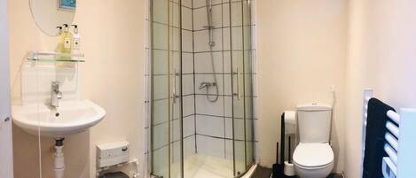 Un baño moderno con ducha envuelta en vidrio, lavamanos con espejo e inodoro.