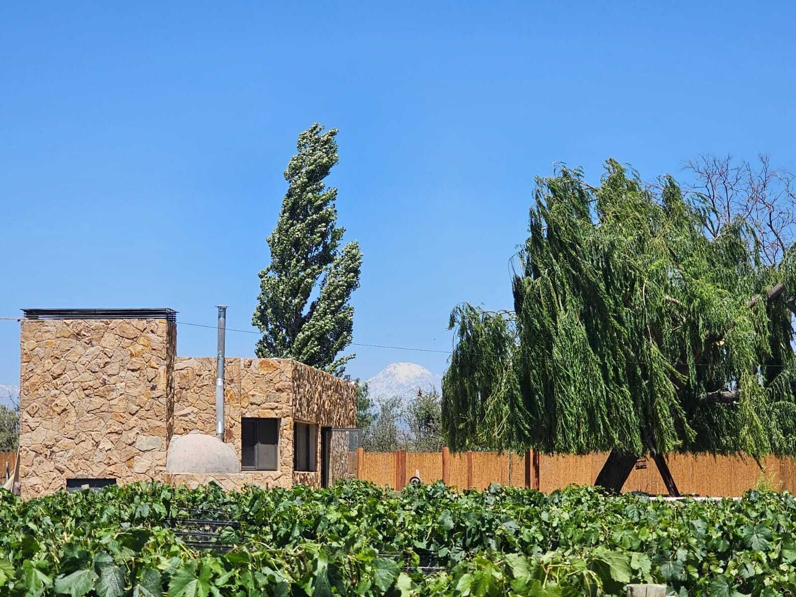 A stone building with a modern design, surrounded by lush greenery and tall trees.