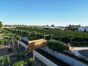 Property grounds - Rincon Del Malbec (Luján de Cuyo)