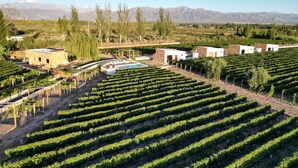 A vineyard with rows of grapevines, a swimming pool, and several buildings. - Rincon Del Malbec (Luján de Cuyo)