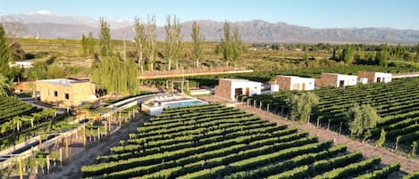 Cabaña Confort, balcón, vista al viñedo | Vista al viñedo