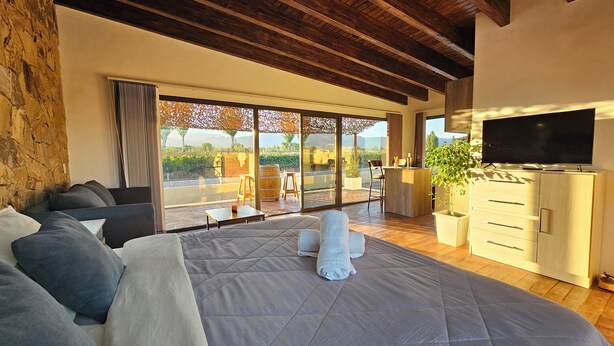 A bedroom with a large bed, a TV, a wooden ceiling, and a view of the outdoors. - Rincon Del Malbec (Luján de Cuyo)