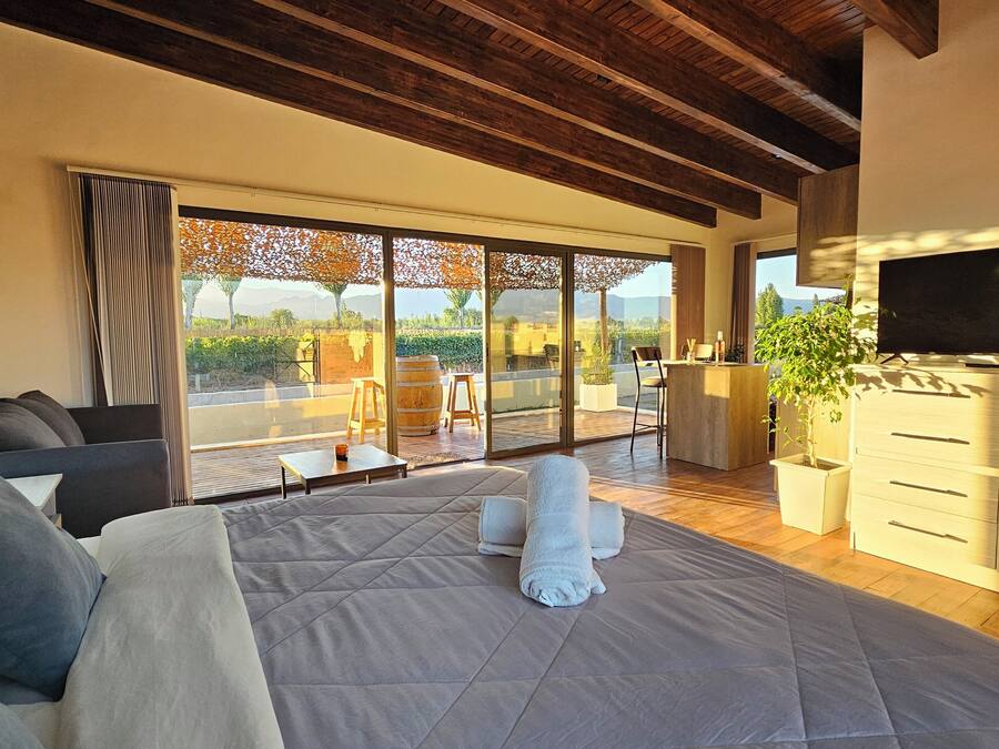 Baita Comfort, balcone, vista vigneti | Postazione laptop, ferro/asse da stiro, Wi-Fi gratuito