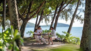 Un grupo de personas sentadas a una mesa bajo árboles, junto a un lago.