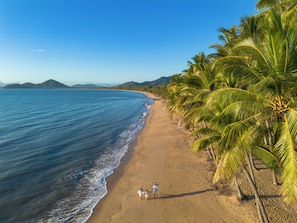 A beach with palm trees and a clear sky. - Hilton Palm Cove Cairns Resort & Spa (Cairns)