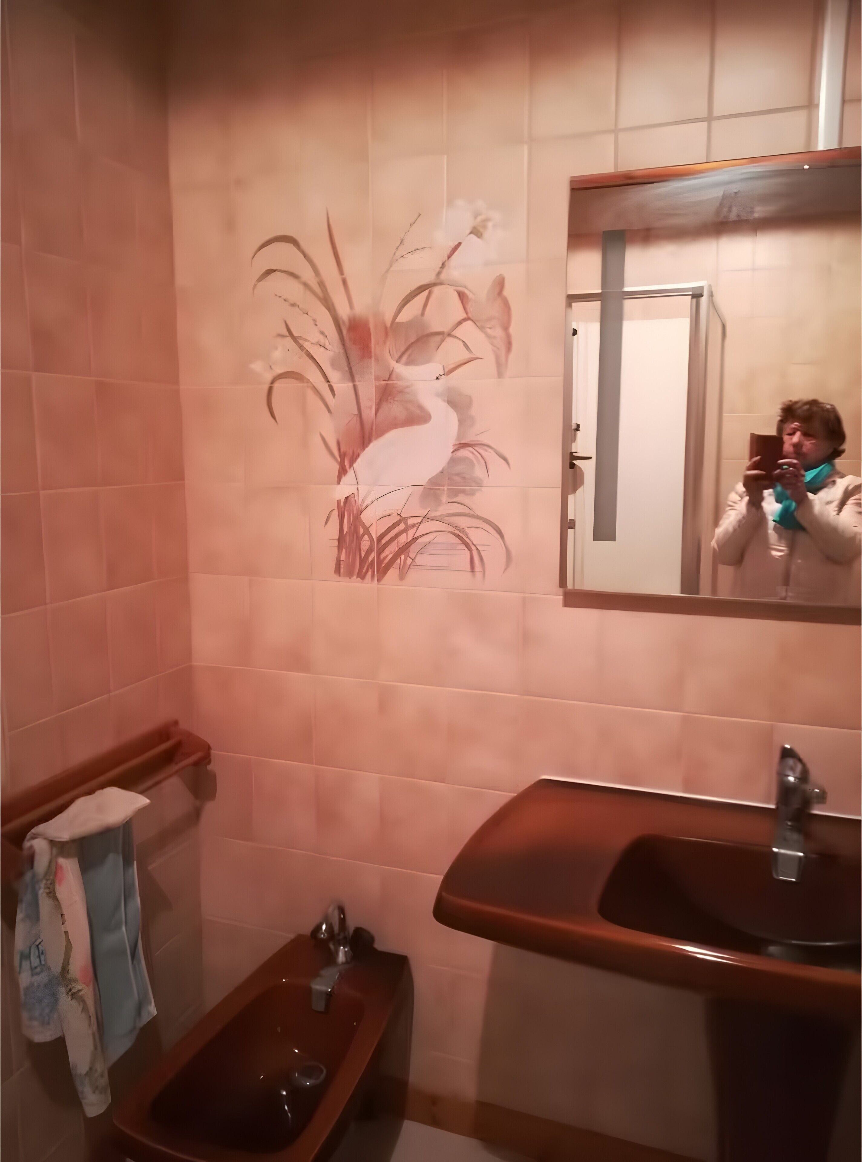 Douche, séchoir à cheveux