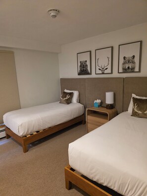 3 bedrooms, desk, iron/ironing board, WiFi - Lovely condo only 1 mile to slopes on free bus. (Vail)