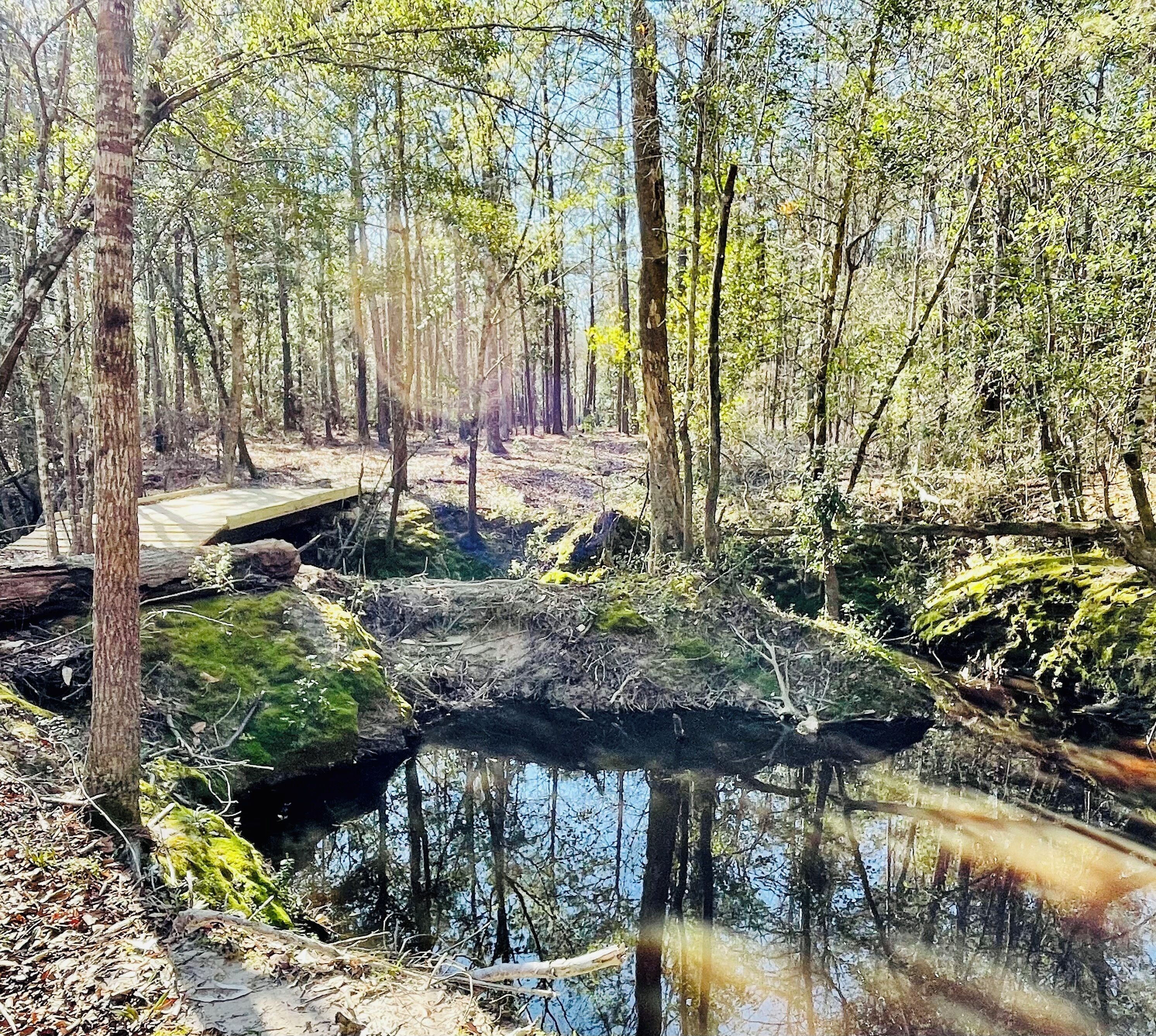 Un área boscosa con un pequeño arroyo, un puente de madera y un afloramiento rocoso.