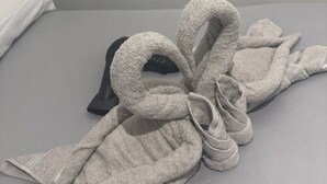 Ein ordentlich bezogenes Bett mit einem Handtuch in einer Schleife.