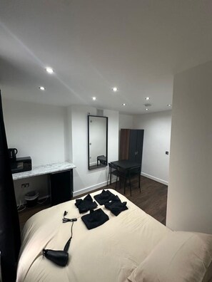 Room - Battersea Park London room (Greater London)