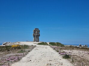 Immagine non classificata, 3 di 21, pulsante