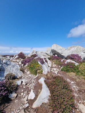 Immagine non classificata, 5 di 26, pulsante