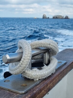 Billede uden beskrivelse, 5 af 17, knap