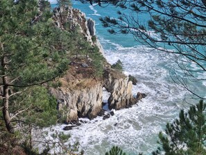 Luokittelematon kuva, 4 kautta 25, painike