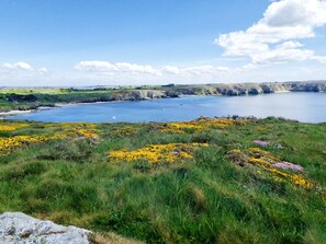 Nicht klassifiziertes Bild, 2 von 32, Schaltfläche