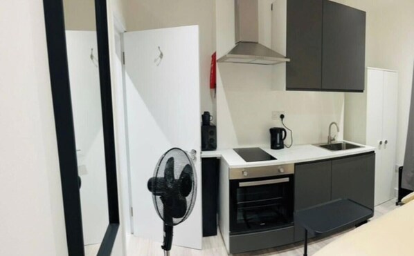 Fridge, microwave, oven, stovetop - Studio w/ private kitchen & bath (Greater London)