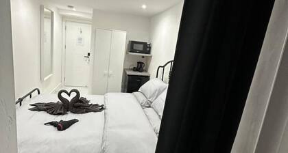 Room in Euston Central London