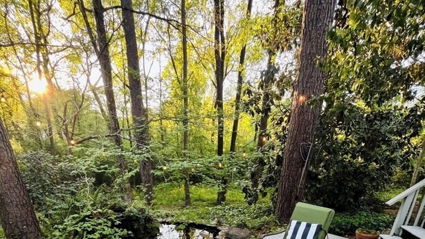 A deck with green cushioned chairs and a small table, surrounded by lush greenery and a pond. - Masters Rental 3.5 miles from the Augusta National (Martinez)