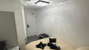 1 bedroom, iron/ironing board, WiFi - London Paddington nearby (Greater London)