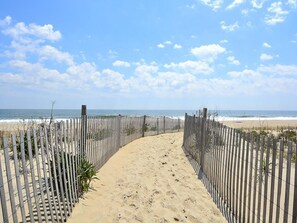 Ein Sandweg am Strand, der zum Meer führt, gesäumt von Holzzäunen.