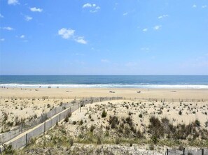 Beach nearby - Oceanfront 3BR Condo in Fenwick | Walk to Beach! (Fenwick Island)