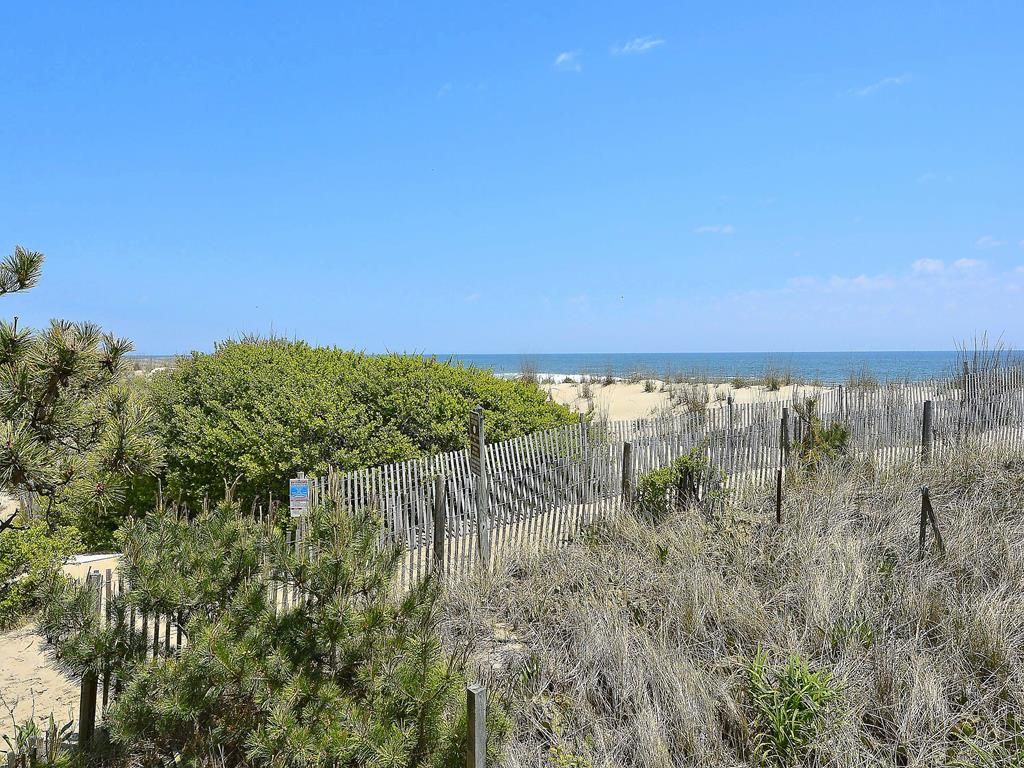 Eine Küstenlandschaft mit Sandstrand, Holzzaun und dichter Vegetation.