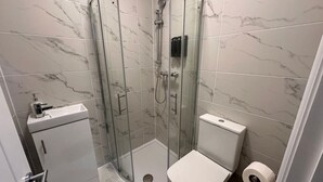 Ein modernes Badezimmer mit einer begehbaren Glasdusche, einer Toilette und einem kleinen Waschbecken.