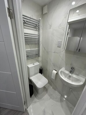 Hair dryer - London Victoria 15 minutes away (Greater London)
