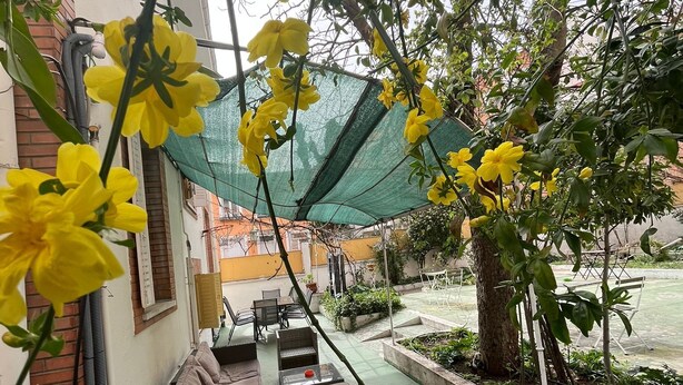 A courtyard with a seating area, a tree, and a green netting structure.