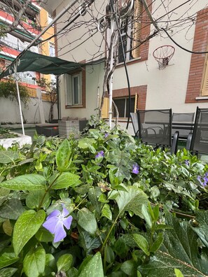 Triple Room | Terrace/patio