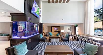 Modern Studio Suite Close to Naples Beaches