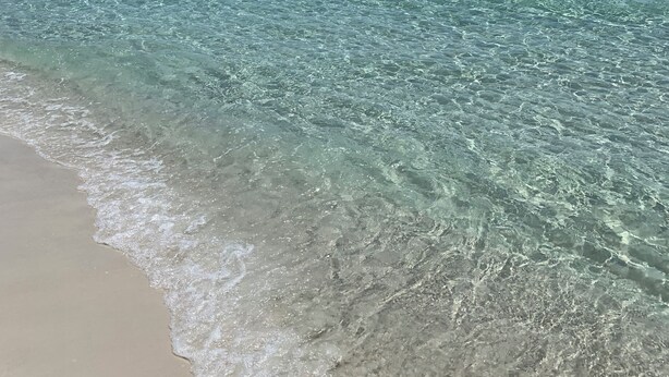 Una playa con agua cristalina, orilla arenosa y un muelle a lo lejos.
