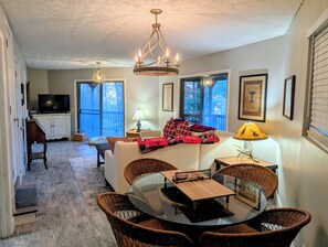 Smart TV, fireplace, books