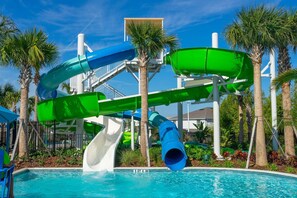 Unclassified image, 2 of 39, button - 6BR Themed Home w/ Pool | Windsor Island (Davenport)