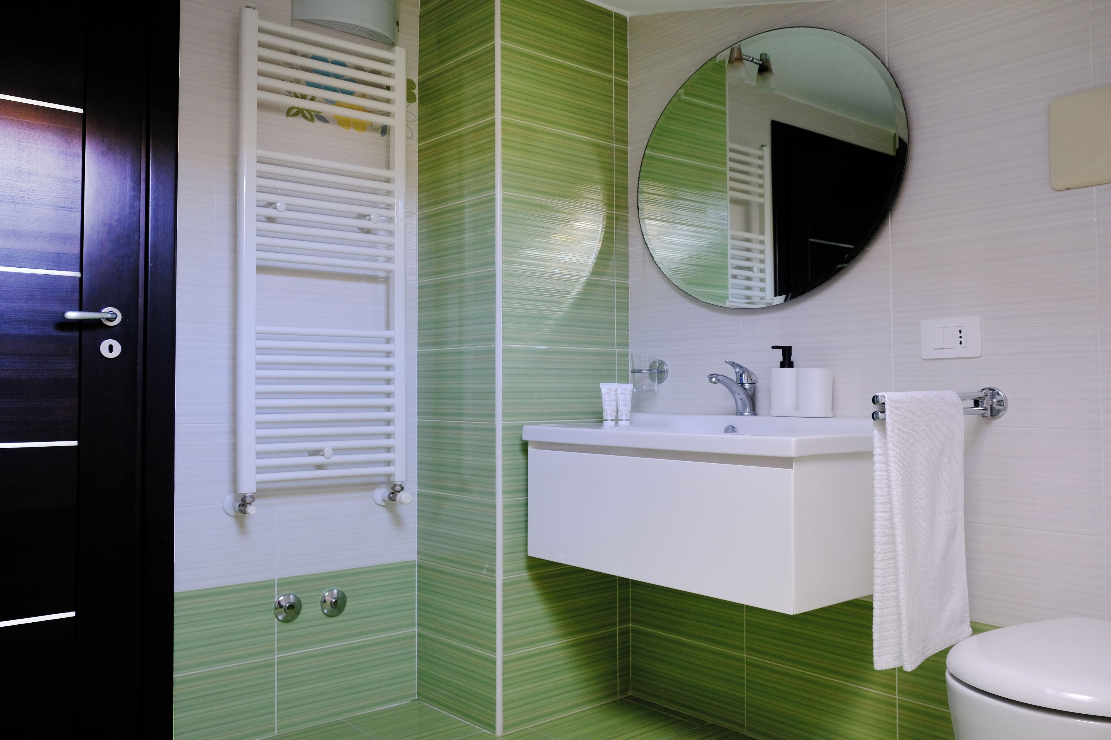 Shower, hair dryer, bidet, towels