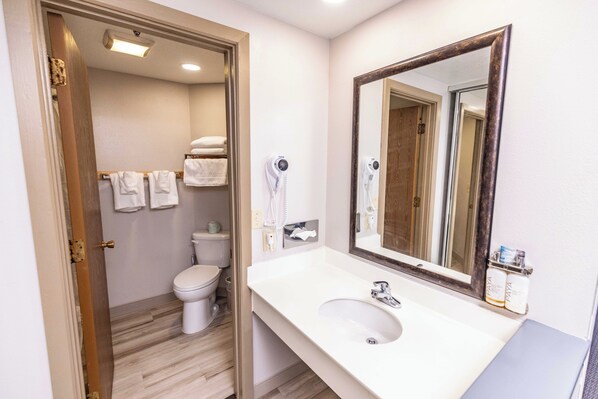 A bathroom with a toilet, a sink, a mirror, and a hairdryer.