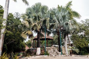 Oklassificerad bild, 3 av 38, knapp