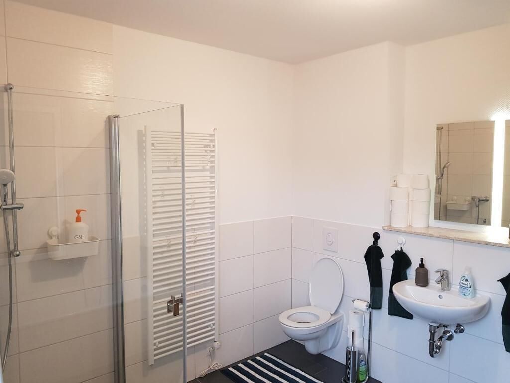 A bathroom with a glass shower enclosure, a toilet, a sink, and a mirror above the sink.