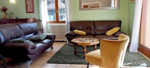 Una televisión, una chimenea, libros