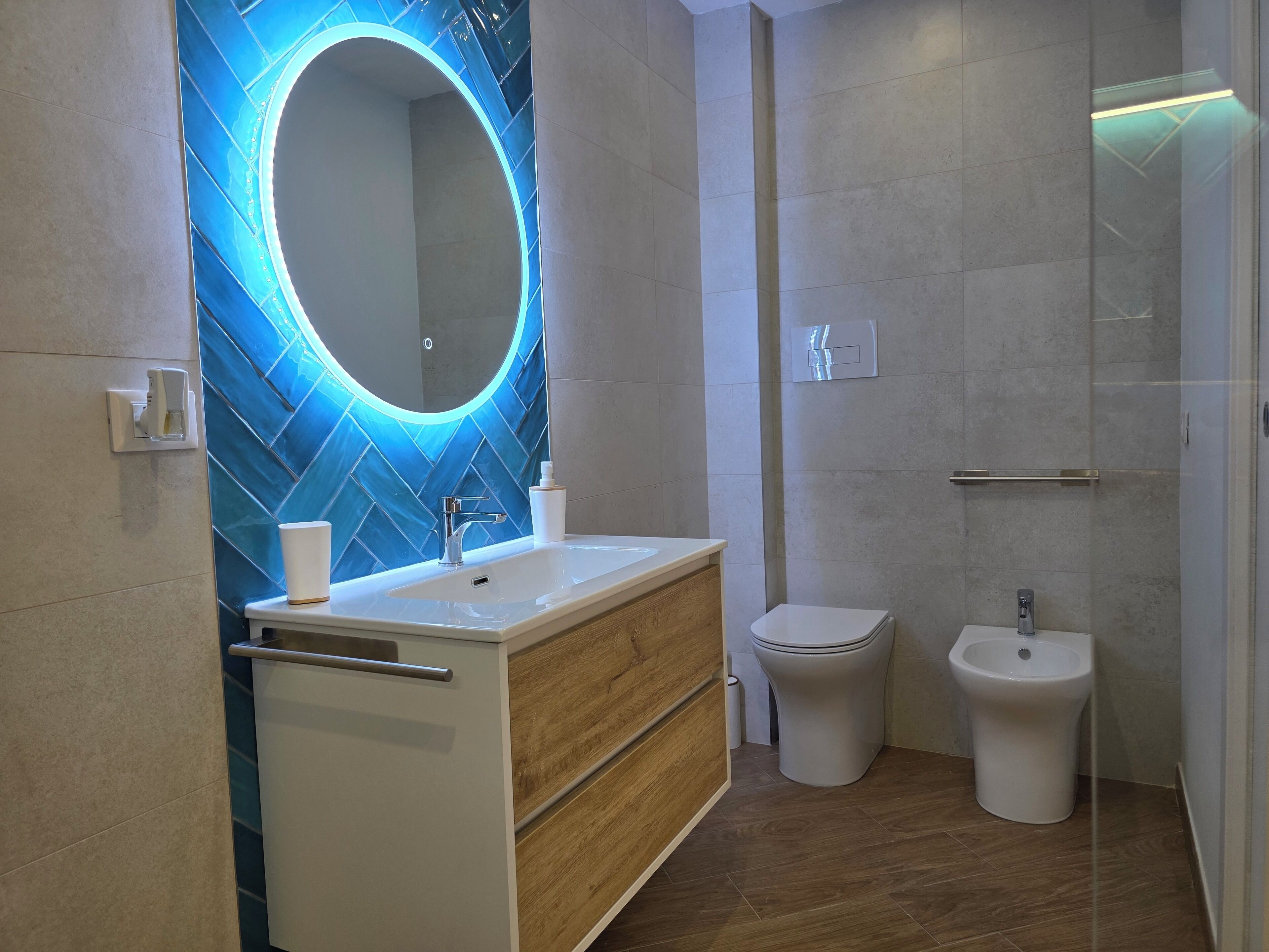 Shower, hair dryer, bidet, towels