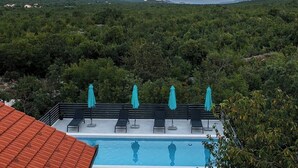 A swimming pool with a mountain view, surrounded by lush greenery. - Villa  Ika (Raščane)