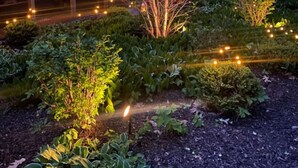 A garden with a wooden fence, a tree, and string lights. - Deerpath Retreat at Abbey Springs (Fontana-on-Geneva Lake)