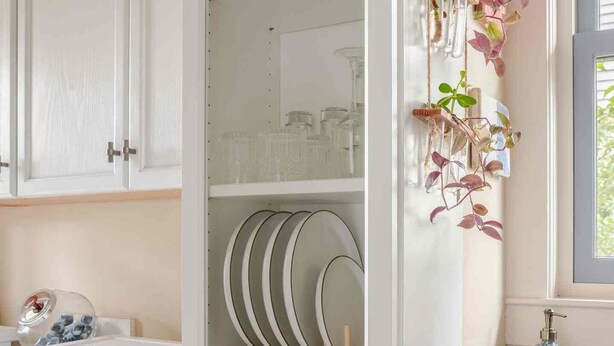 A kitchen with white cabinets, a dish rack, and a hanging plant. - Classic charm with modern comforts near Harvard. (Cambridge)