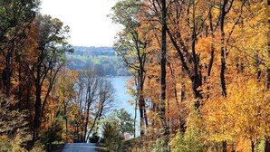 A road leading to a body of water surrounded by trees with autumn foliage.