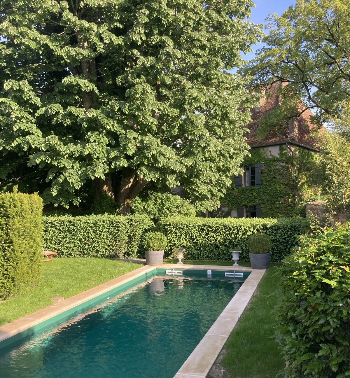 Image de profil de l’hôte