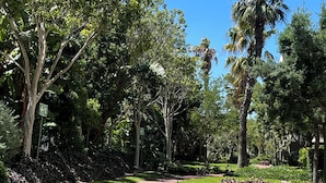 A pathway leading through a well-maintained garden with various trees and shrubs. - WELCOME TO 144 @ MAYFAIR — YOUR URBAN OASIS IN CENTURY CITY, CAPE TOWN! (Cape Town)