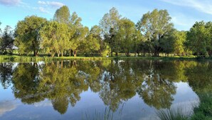 Un lac paisible, bordé d’arbres dont le reflet se mire dans l’eau, et entouré de verdure.