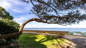 A coastal pathway with a stone wall, a grassy area, and a view of the sea. - Emerald apartment with beach access in Pereire (Arcachon)