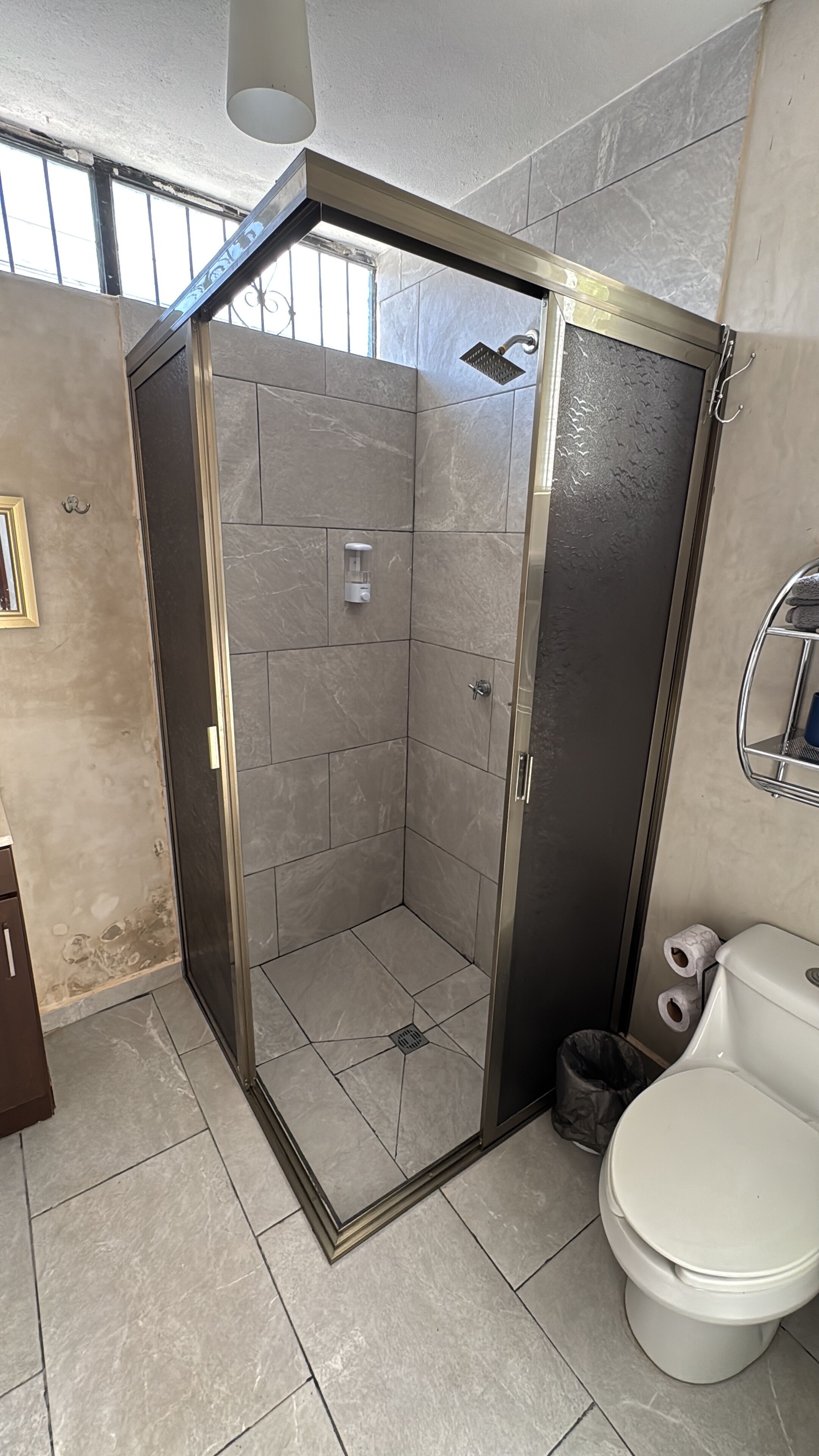 Shower, towels, soap, toilet paper
