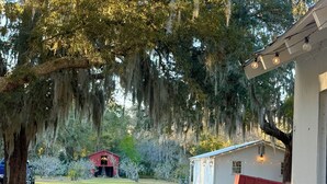 Una propiedad rural con un gran árbol, un granero rojo y un edificio blanco con luces colgantes.